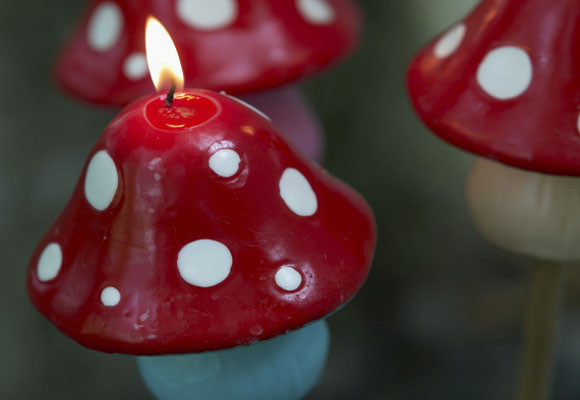 Velas para iluminar el jardín