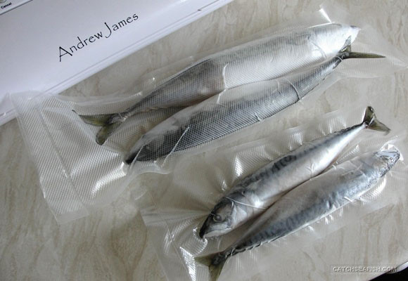 Ventajas de envasar al vacío los alimentos en casa