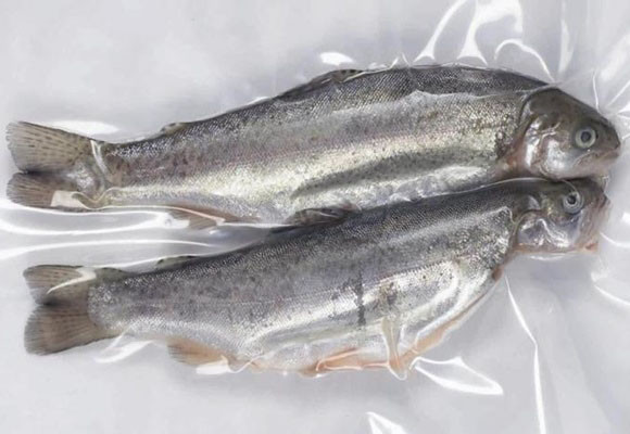 Ventajas de envasar al vacío los alimentos en casa