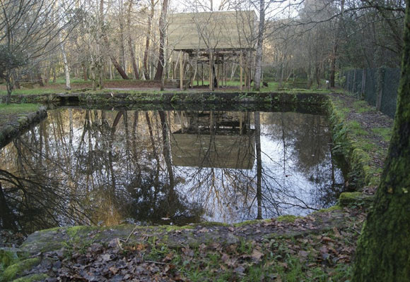 Las cabañitas del bosque 2 Las cabañitas del bosque