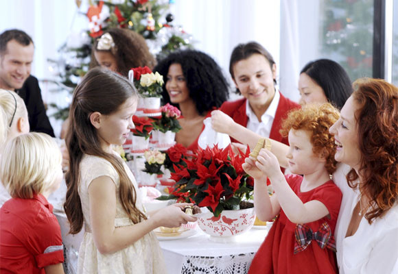 La poinsettia y otras tradiciones navideñas