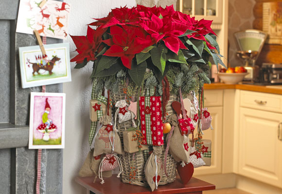 Costumbres europeas en Adviento y Navidad