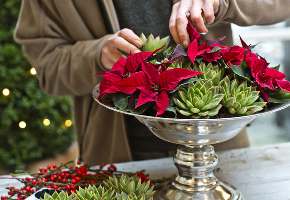 Un centro tradicional rojo