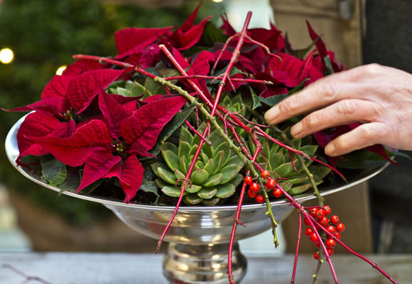 Un centro tradicional rojo