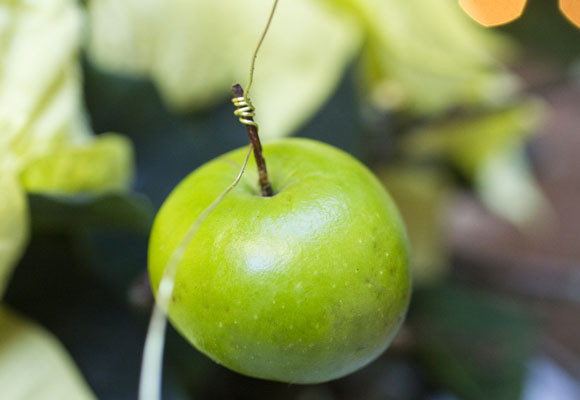 Un toque rústico en tu mesa