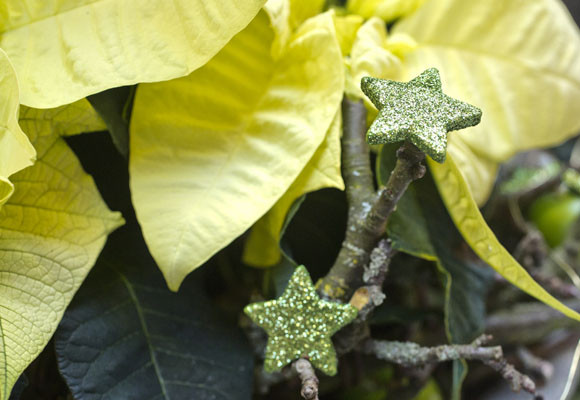 Un toque rústico en tu mesa