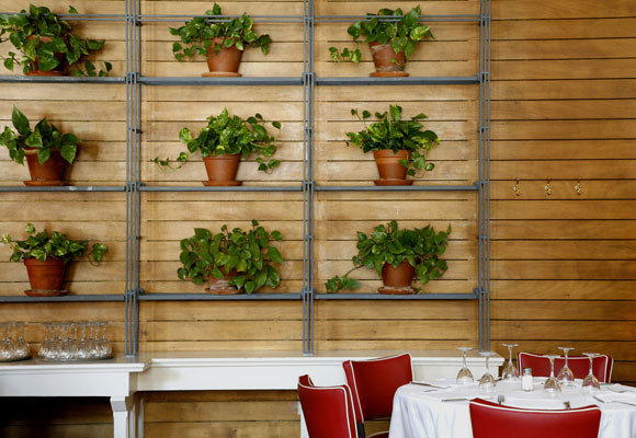 Les Quinze Nits 11 Les Quinze Nits