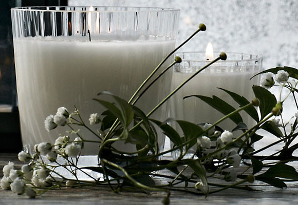 Paniculata en Navidad