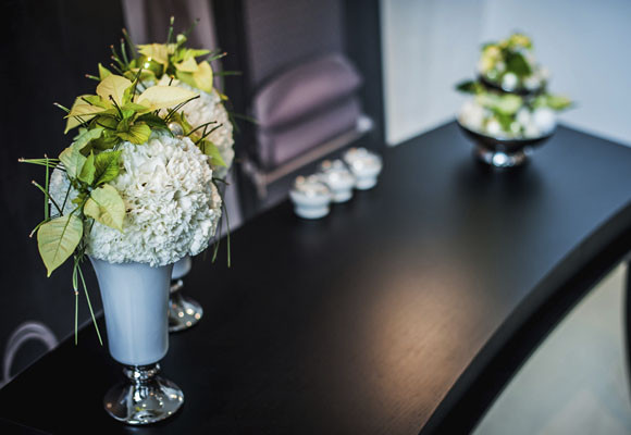 Ponsettias para todos los estilos 1 Ponsettias para todos los estilos