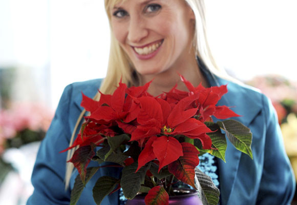 12 de Diciembre: El día de la Ponsettia
