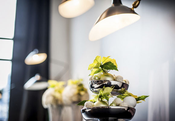 ¿Cómo disfrutar más tiempo de tu Ponsettia? 7 ¿Cómo disfrutar más tiempo de tu Ponsettia?