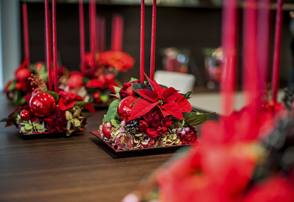 Ponsettias para todos los estilos 4 Ponsettias para todos los estilos