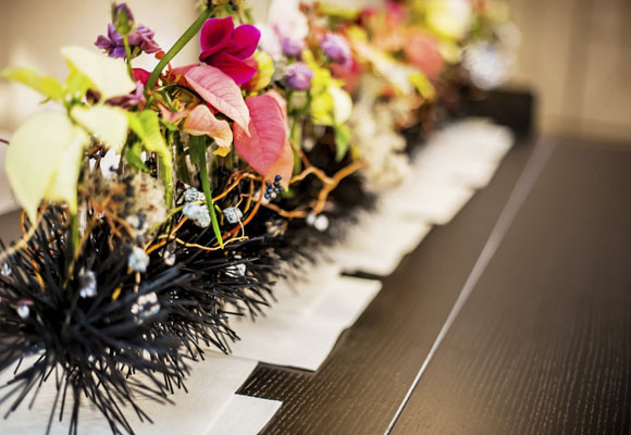 Ponsettias para todos los estilos 8 Ponsettias para todos los estilos