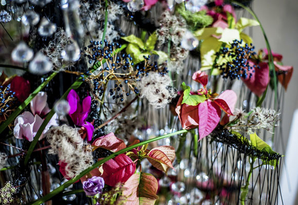 Ponsettias para todos los estilos 9 Ponsettias para todos los estilos