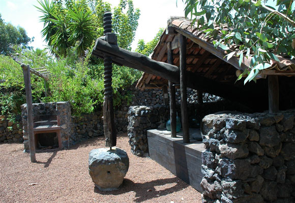 NOCHEVIEJA EN TENERIFE