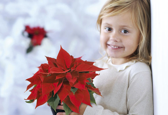 Costumbres europeas en Adviento y Navidad