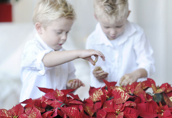 Costumbres europeas en Adviento y Navidad