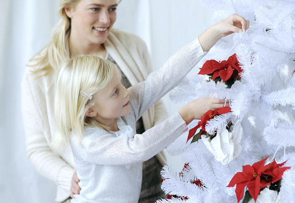 Costumbres europeas en Adviento y Navidad