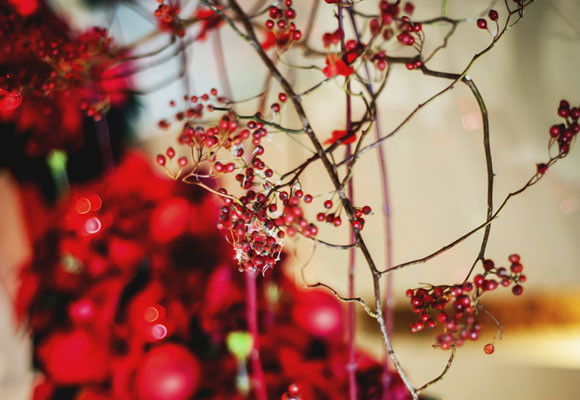 Costumbres europeas en Adviento y Navidad