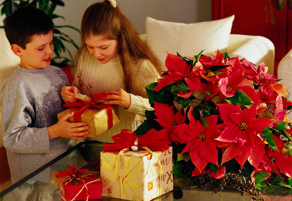 Costumbres europeas en Adviento y Navidad