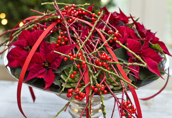 Un centro tradicional rojo