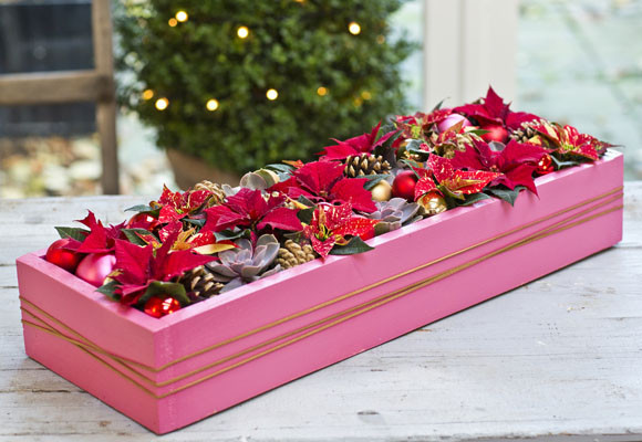 Ponsettias en una caja para decorar tu mesa