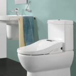 inodoro villeroy 1