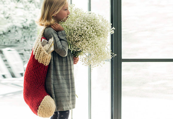 Paniculata en navidad