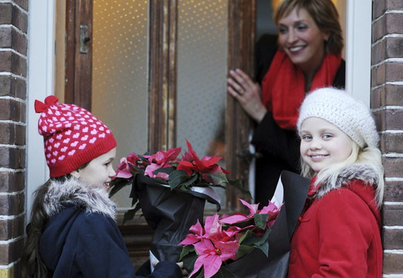 12 de diciembre. El día de la ponsettia