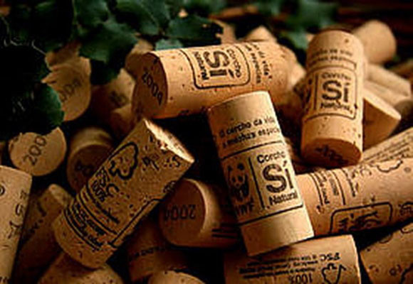 Vino ecológico: en qué se diferencia del tradicional