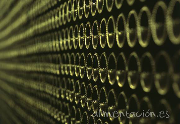 Vino ecológico: en qué se diferencia del tradicional