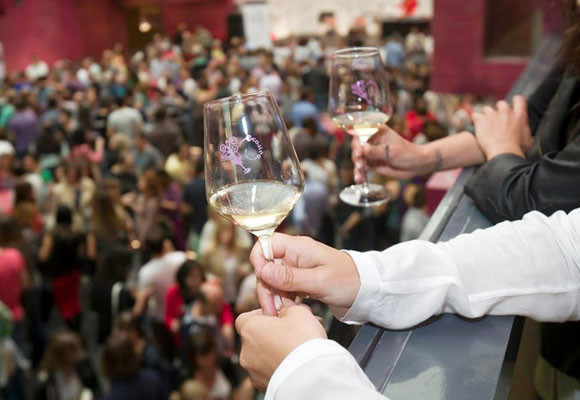 Vino ecológico: en qué se diferencia del tradicional