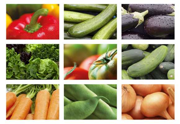 Lavar y almacenar fruta y verdura 7 Lavar y almacenar fruta y verdura