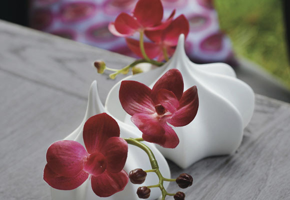 Abran paso a las flores!