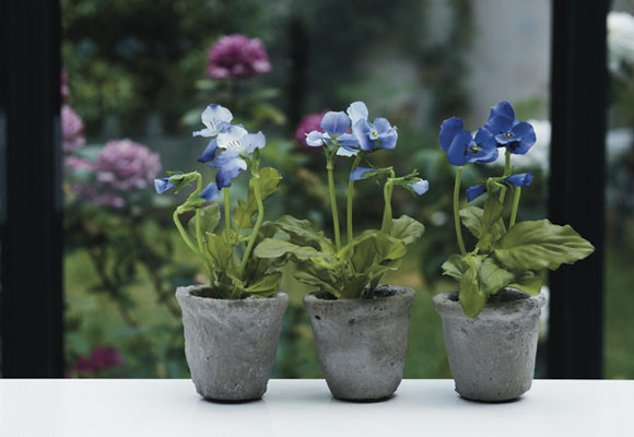 Abran paso a las flores!