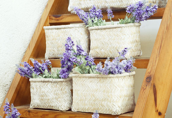 Las flores, el tesoro de la primavera