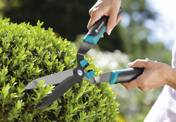 Setos para el jardín