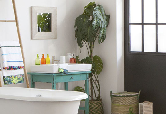 Un baño con detalles exóticos