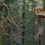 cabanas arboles zeanuri 1