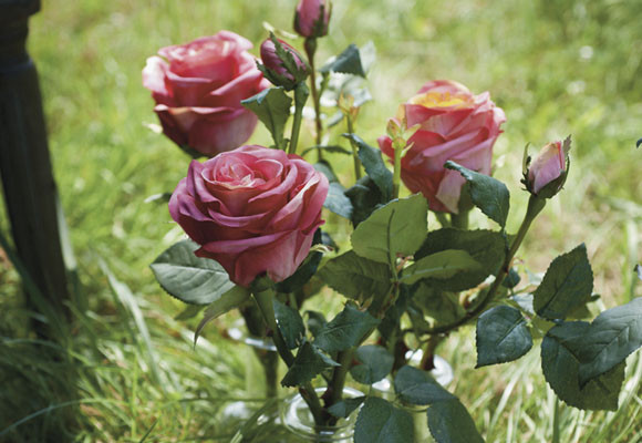 Una elegante mesa en el jardín