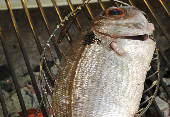 El Pradal 8 El Pradal