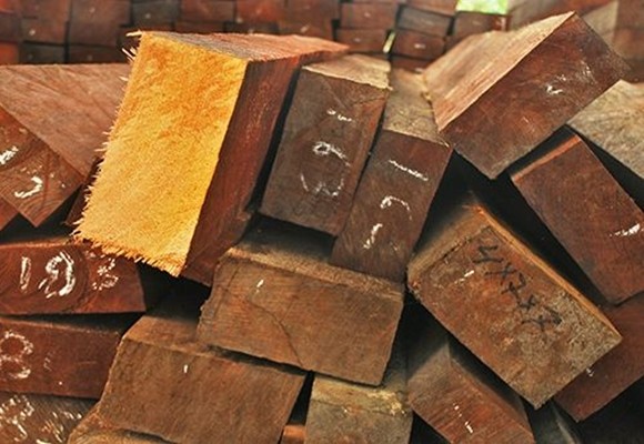 ¿Cómo saber si consumes madera justa…? 