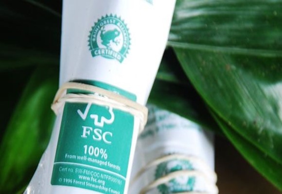 ¿Cómo saber si consumes madera justa…? 