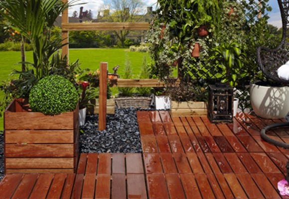 ¿Cómo saber si consumes madera justa…? 