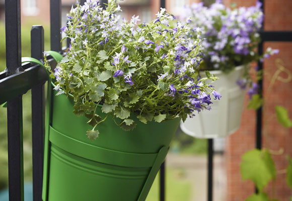 Decorar con plantas naturales