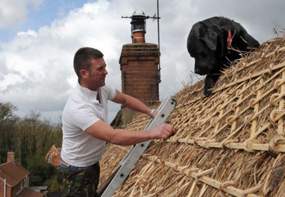 Techos de paja, cubierta ecológica