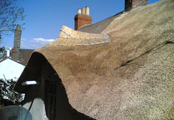 Techos de paja, cubierta ecológica