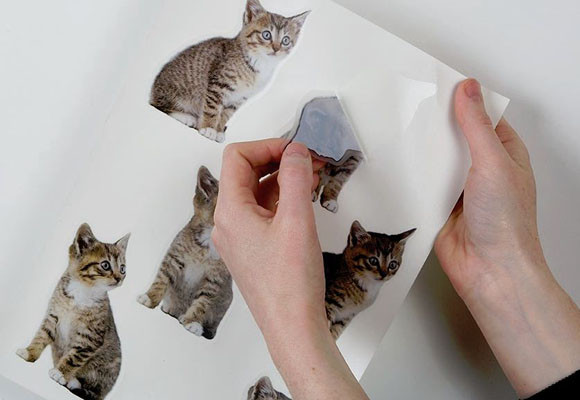 Consejos para la correcta aplicación de vinilos adhesivos 