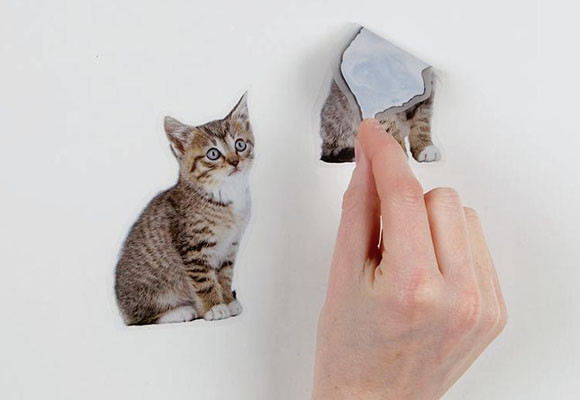 Consejos para la correcta aplicación de vinilos adhesivos 