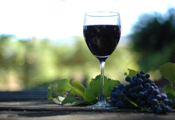 Fiestas de queso y de vino